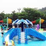 Customized Backyard Swimming Pool Water Slide插图5