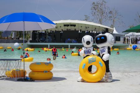 Safety Survey of Water Park
