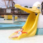 Big fiberglass pelican Toucan water slide插图4